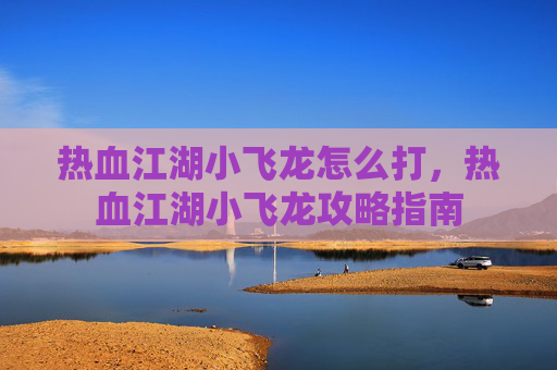 热血江湖小飞龙怎么打，热血江湖小飞龙攻略指南
