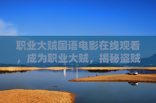 职业大贼国语电影在线观看，成为职业大贼，揭秘盗贼世界的潜规则与生存之道
