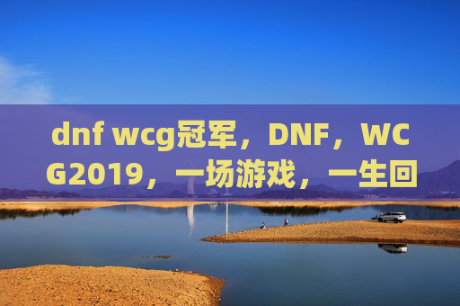 dnf wcg冠军,DNF,WCG2019,一场游戏,一生回忆 dnf wcg冠军,DNF,WCG2019,一场游戏,一生回忆