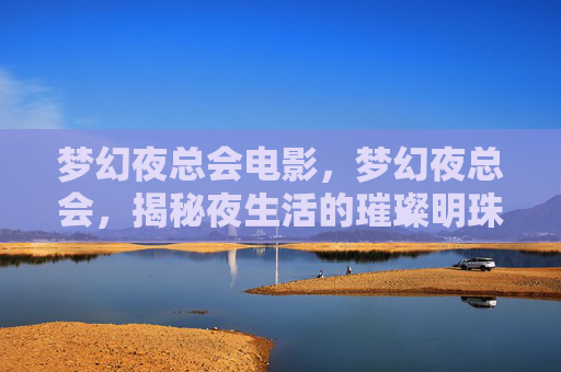 梦幻夜总会电影，梦幻夜总会，揭秘夜生活的璀璨明珠