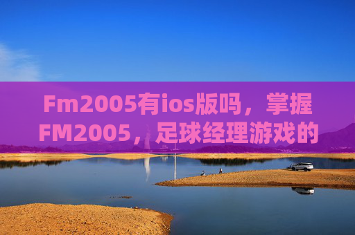 Fm2005有ios版吗，掌握FM2005，足球经理游戏的策略与技巧