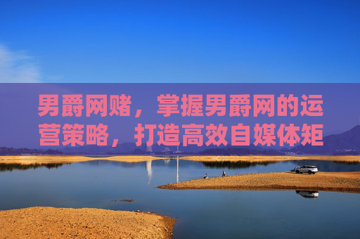男爵网赌,掌握男爵网的运营策略,打造高效自媒体矩阵 男爵网赌,掌握男爵网的运营策略,打造高效自媒体矩阵