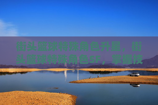 街头篮球特殊角色升星,街头篮球特殊角色SF,掌握技巧与战术,成为场上的王者 街头篮球特殊角色升星,街头篮球特殊角色SF,掌握技巧与战术,成为场上的王者