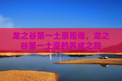 龙之谷第一土豪是谁,龙之谷第一土豪的养成之路 龙之谷第一土豪是谁,龙之谷第一土豪的养成之路