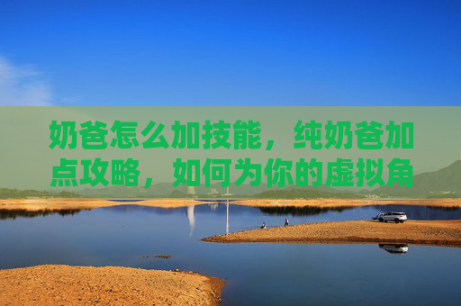 奶爸怎么加技能，纯奶爸加点攻略，如何为你的虚拟角色增加力量与智慧？