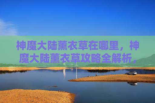 神魔大陆薰衣草在哪里,神魔大陆薰衣草攻略全解析,带你领略不一样的游戏世界! 神魔大陆薰衣草在哪里,神魔大陆薰衣草攻略全解析,带你领略不一样的游戏世界!