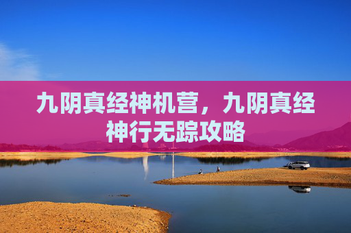 九阴真经神机营，九阴真经神行无踪攻略