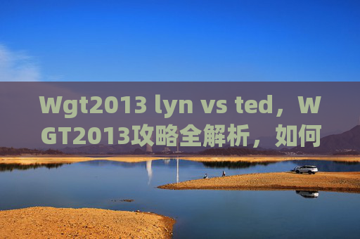 Wgt2013 lyn vs ted，WGT2013攻略全解析，如何高效备战，赢得比赛