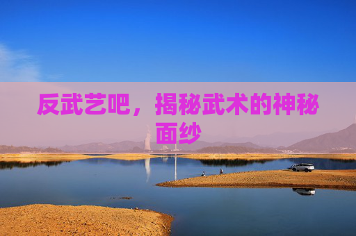 反武艺吧，揭秘武术的神秘面纱