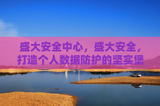 盛大安全中心，盛大安全，打造个人数据防护的坚实堡垒