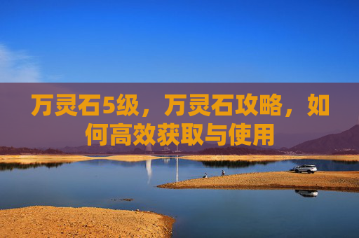万灵石5级，万灵石攻略，如何高效获取与使用