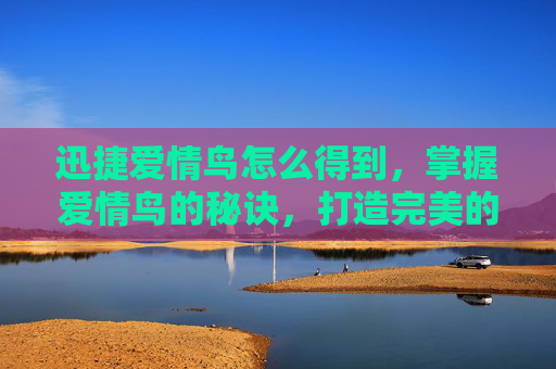 迅捷爱情鸟怎么得到，掌握爱情鸟的秘诀，打造完美的速配关系