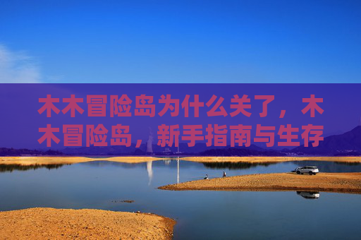 木木冒险岛为什么关了，木木冒险岛，新手指南与生存技巧