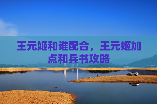 王元姬和谁配合，王元姬加点和兵书攻略