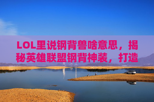 LOL里说钢背兽啥意思，揭秘英雄联盟钢背神装，打造你的终极战士