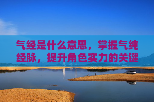 气经是什么意思,掌握气纯经脉,提升角色实力的关键 气经是什么意思,掌握气纯经脉,提升角色实力的关键