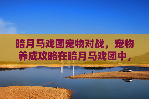 暗月马戏团宠物对战，宠物养成攻略在暗月马戏团中，如何培养你的萌宠？