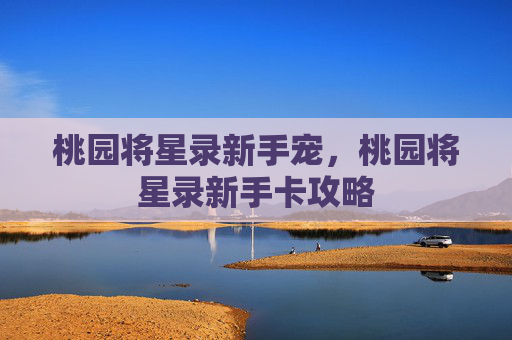 桃园将星录新手宠,桃园将星录新手卡攻略 桃园将星录新手宠,桃园将星录新手卡攻略