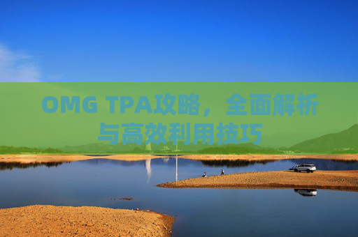 OMG TPA攻略，全面解析与高效利用技巧