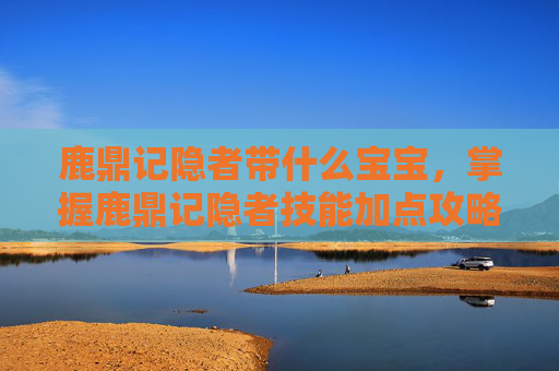 鹿鼎记隐者带什么宝宝,掌握鹿鼎记隐者技能加点攻略,提升战斗效率 鹿鼎记隐者带什么宝宝,掌握鹿鼎记隐者技能加点攻略,提升战斗效率