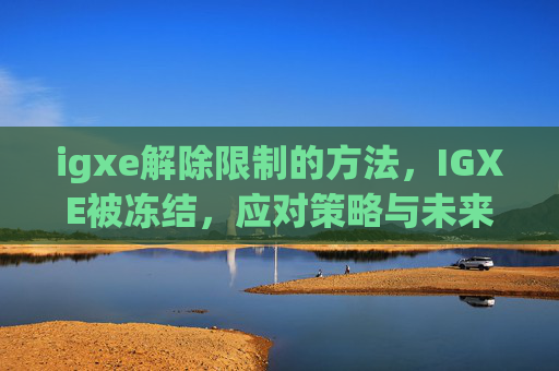 igxe解除限制的方法,IGXE被冻结,应对策略与未来展望 igxe解除限制的方法,IGXE被冻结,应对策略与未来展望