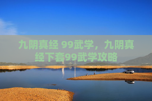 九阴真经 99武学，九阴真经下套99武学攻略