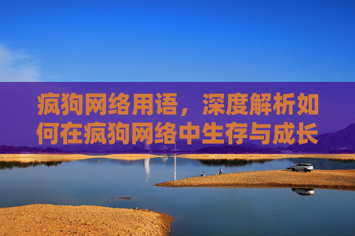 疯狗网络用语,深度解析如何在疯狗网络中生存与成长 疯狗网络用语,深度解析如何在疯狗网络中生存与成长