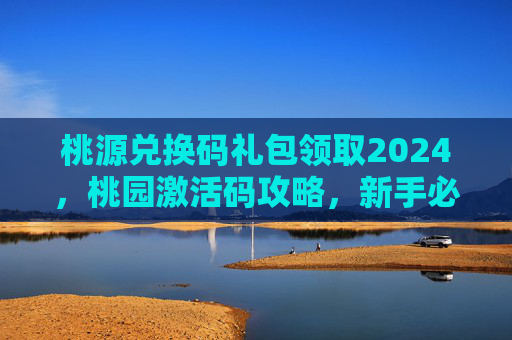 桃源兑换码礼包领取2024，桃园激活码攻略，新手必知的激活流程与技巧