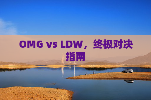 OMG vs LDW，终极对决指南