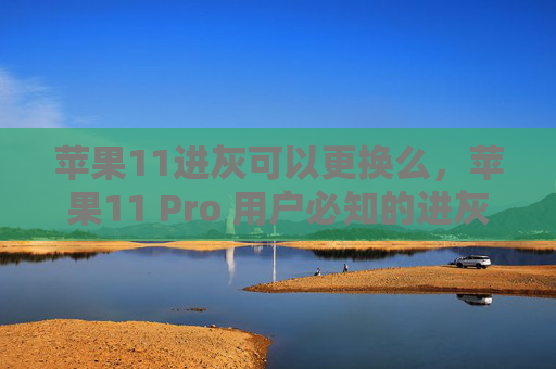 苹果11进灰可以更换么，苹果11 Pro 用户必知的进灰门防护攻略