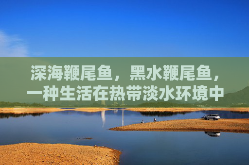 深海鞭尾鱼，黑水鞭尾鱼，一种生活在热带淡水环境中的鱼类，以其独特的黑色尾巴和鲜艳的色彩而闻名。在探讨黑水鞭尾鱼鱼卵的相关内容时，我们可以从以下几个方面进行深入分析
