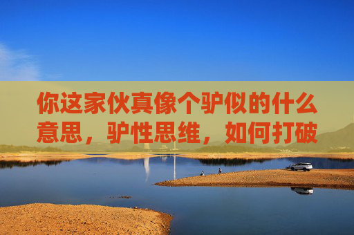 你这家伙真像个驴似的什么意思，驴性思维，如何打破传统束缚，激发创新潜能