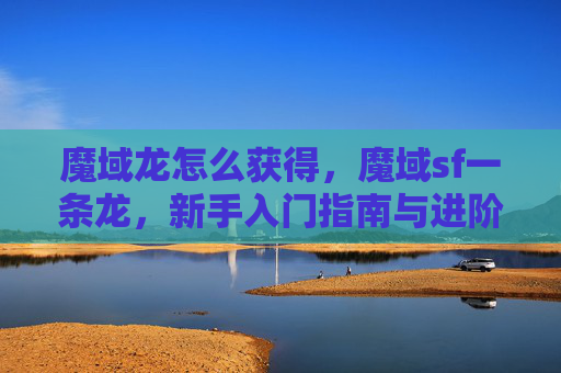 魔域龙怎么获得，魔域sf一条龙，新手入门指南与进阶攻略