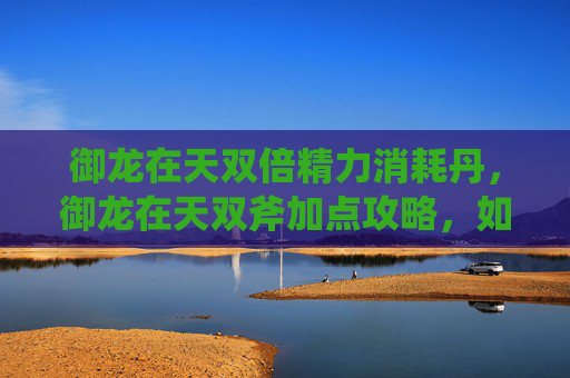 御龙在天双倍精力消耗丹,御龙在天双斧加点攻略,如何最大化你的战斗力? 御龙在天双倍精力消耗丹,御龙在天双斧加点攻略,如何最大化你的战斗力?