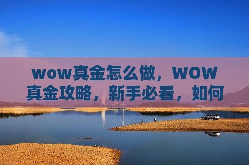 wow真金怎么做，WOW真金攻略，新手必看，如何高效获取并利用魔兽世界中的真金资源