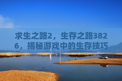 求生之路2，生存之路3826，揭秘游戏中的生存技巧与策略