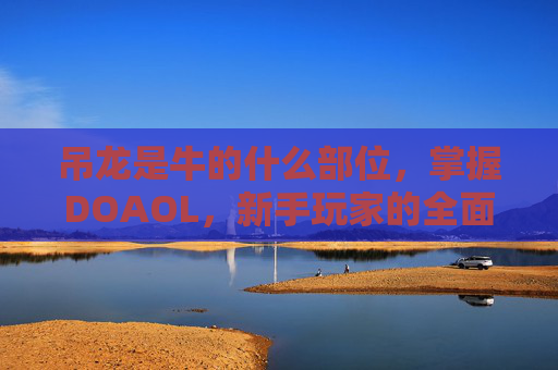 吊龙是牛的什么部位，掌握DOAOL，新手玩家的全面攻略