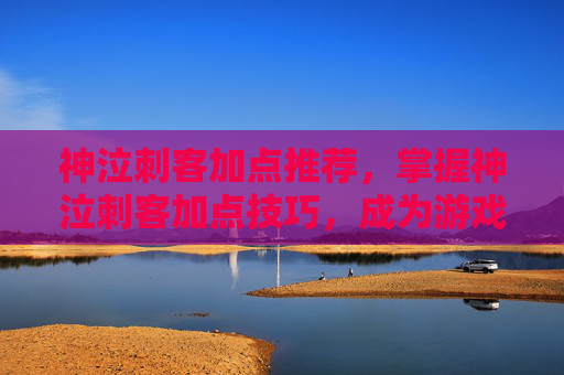 神泣刺客加点推荐，掌握神泣刺客加点技巧，成为游戏中的终极杀手