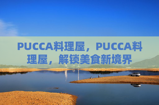 PUCCA料理屋，PUCCA料理屋，解锁美食新境界