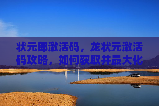 状元郎激活码，龙状元激活码攻略，如何获取并最大化利用你的游戏内资源