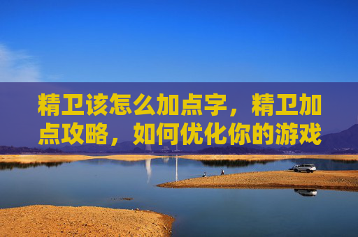 精卫该怎么加点字,精卫加点攻略,如何优化你的游戏体验 精卫该怎么加点字,精卫加点攻略,如何优化你的游戏体验