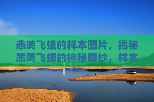 悲鸣飞蛾的样本图片，揭秘悲鸣飞蛾的神秘面纱，样本研究与生态影响