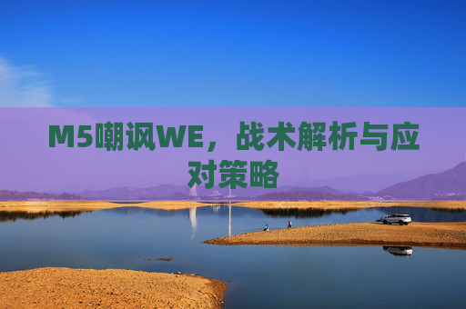 M5嘲讽WE，战术解析与应对策略