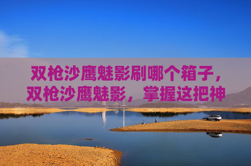 双枪沙鹰魅影刷哪个箱子，双枪沙鹰魅影，掌握这把神秘武器的终极攻略