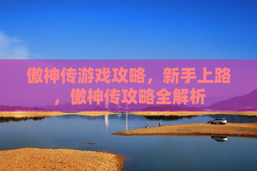 傲神传游戏攻略，新手上路，傲神传攻略全解析