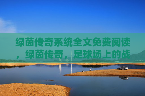 绿茵传奇系统全文免费阅读，绿茵传奇，足球场上的战术智慧与团队精神