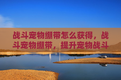 战斗宠物绷带怎么获得，战斗宠物绷带，提升宠物战斗力的必备良品