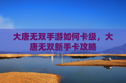 大唐无双手游如何卡级,大唐无双新手卡攻略 大唐无双手游如何卡级,大唐无双新手卡攻略