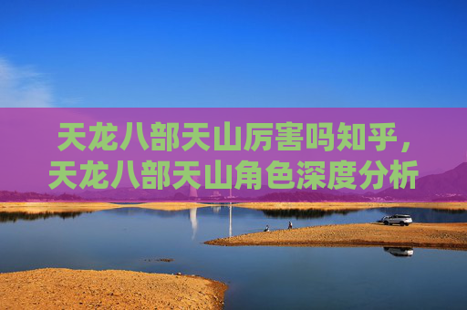 天龙八部天山厉害吗知乎,天龙八部天山角色深度分析,实力与策略的完美结合 天龙八部天山厉害吗知乎,天龙八部天山角色深度分析,实力与策略的完美结合