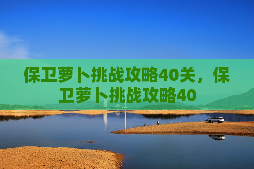 保卫萝卜挑战攻略40关，保卫萝卜挑战攻略40